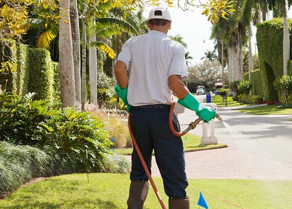 About Cortez CO Pest Control